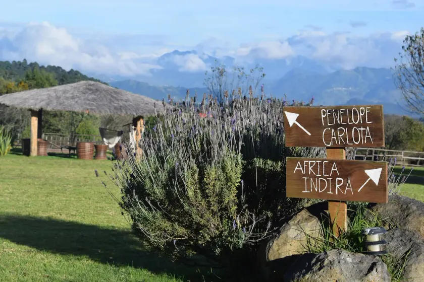 Casa Kitsch, un paraíso en la Sierra de Puebla - Image 1