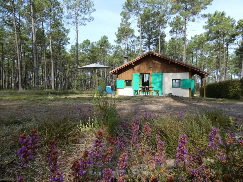 Gîte vert - Image 1