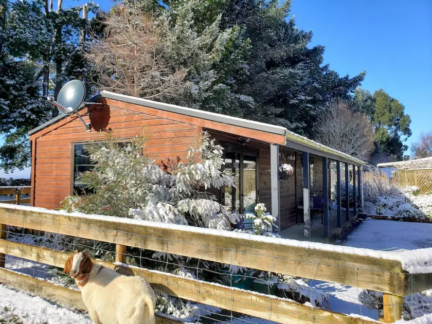 Altura de Dunedin Cottage - Image 1