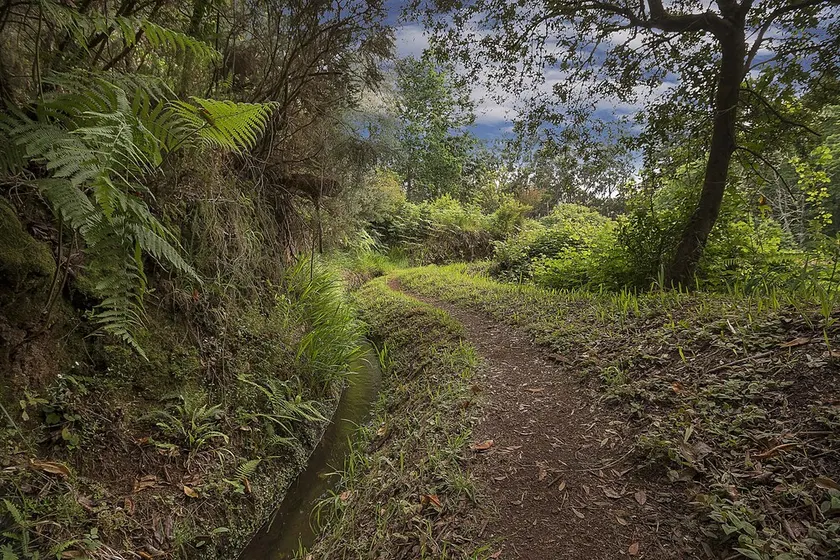 Villa Dennis - nel soleggiato e caldo sud-ovest dell'isola di Madeira - Image 1