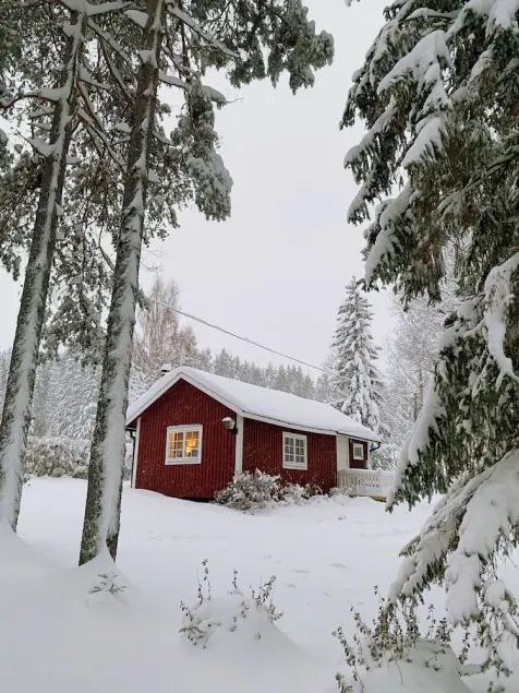 Cozy cabin with fireplace & lake view - Image 1