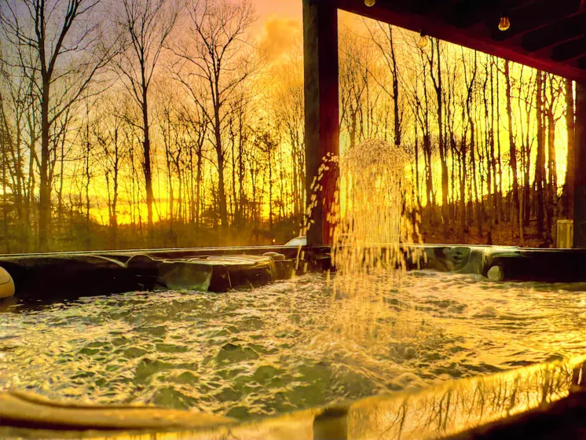 HOT TUB w CA King beds Acres of  & secluded. Pymt plan, dogs welcome - Image 1