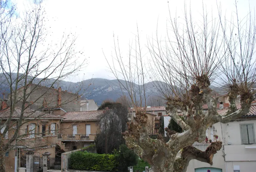 Nidélice Chambre d'hôtes - Image 1