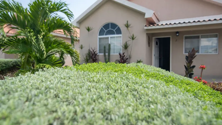 The Golf Oasis II - Image 1