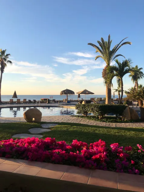 El Zalate: Ground floor, Beach Front condo, steps to the pool and beach - Image 1