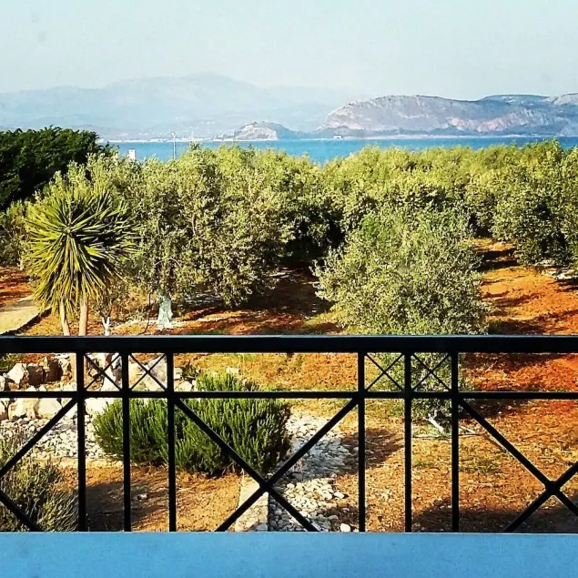 Luxury beach-front Villa - Image 1