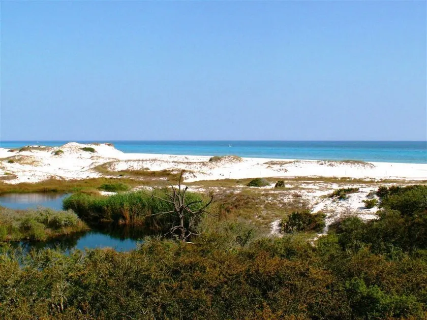 Découvrez un véritable joyau au bord de la mer entouré par le parc d'état de Grayton et le golfe - Image 1