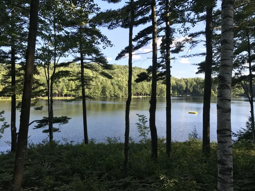 Hütte am privaten familienfreundlichen Teich - Image 1