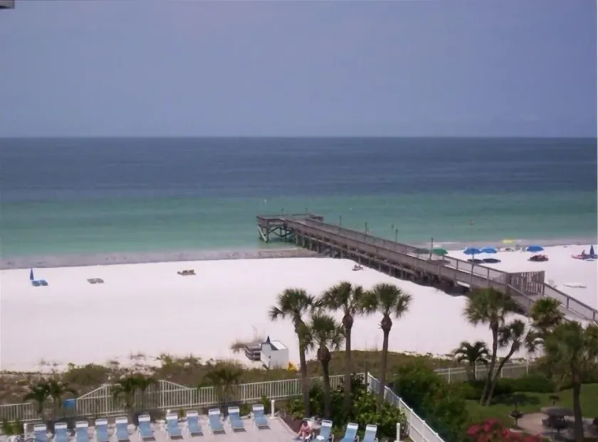 Beach Palms 408 - Image 1