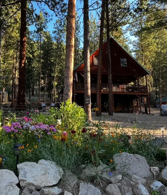 Featherville Mountainside Cabin - Image 1