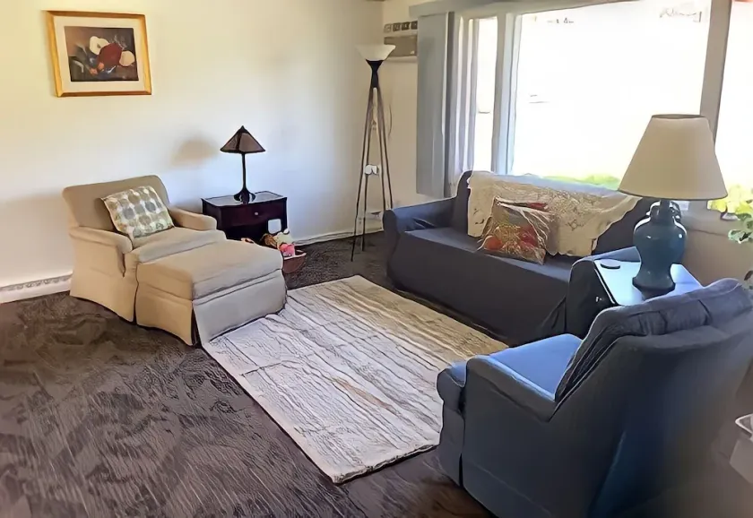 Fully furnished duplex - Image 1