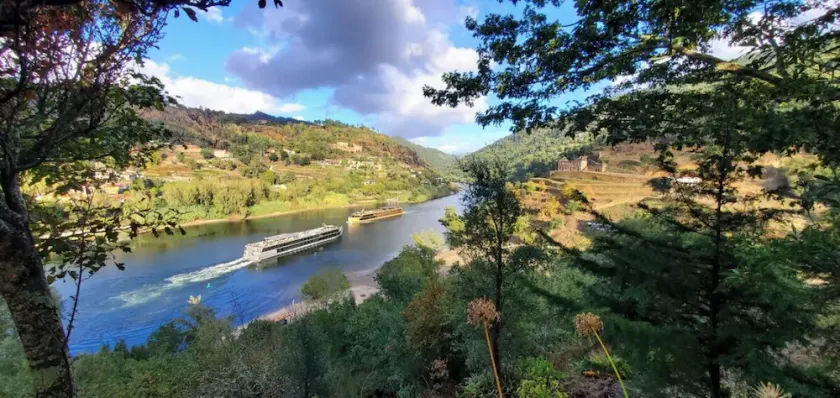 Quinta da Boavista - Villa am Fluss Douro - Image 1