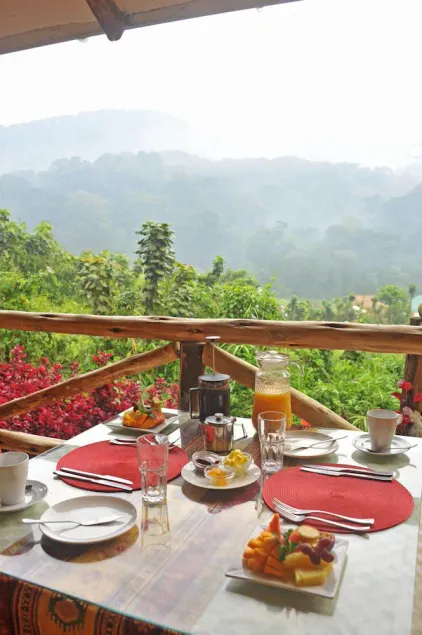Gorilla Safari Lodge - Image 1