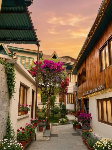 Hotel New Green View Ghulam - Image 1