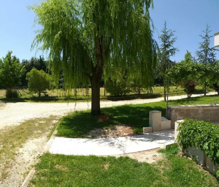 ALLEGRO HOME - Image 1