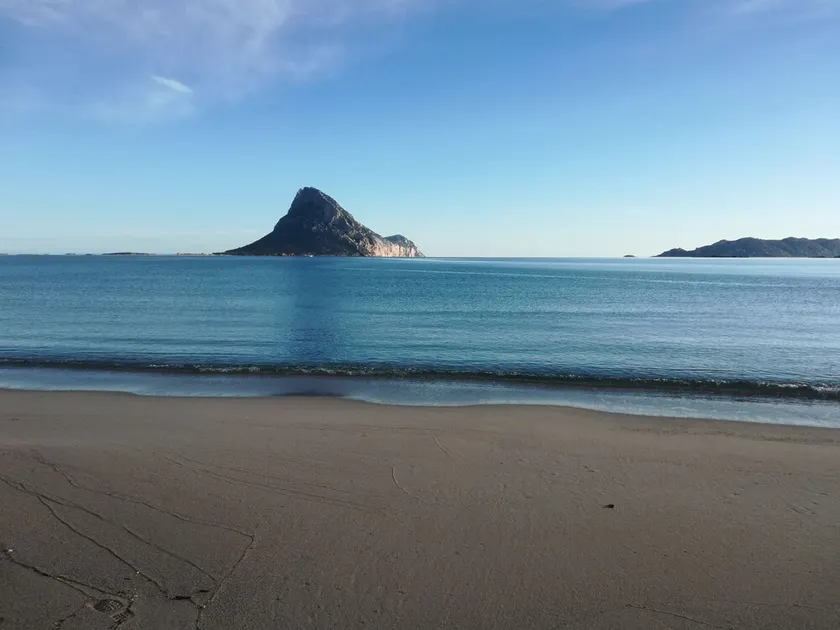 Hus med have tæt på stranden - Image 1