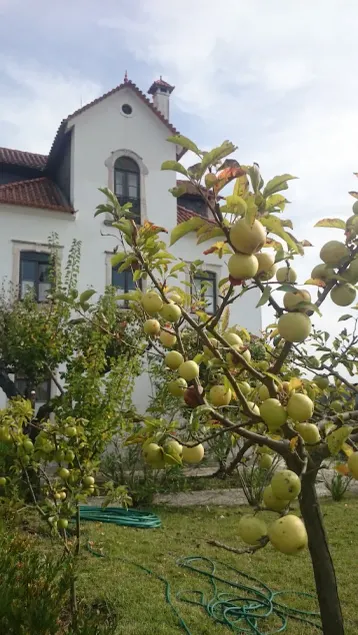 Quinta da Vila Francelina - Image 1