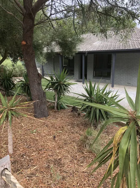 3 Br house - Walk to Beach, Scrub, Parks and Cafe. Short drive to Wineries. - Image 1