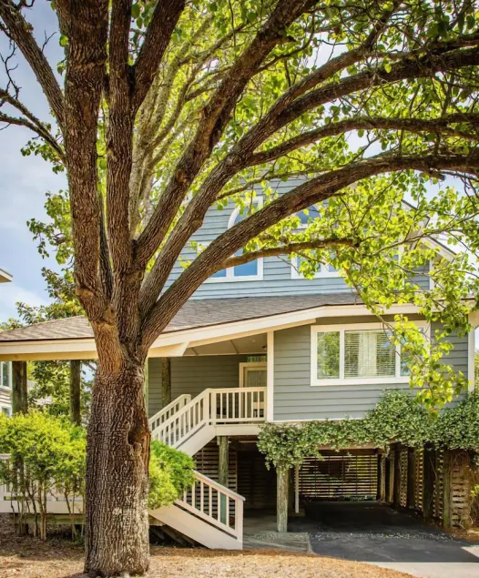 Seabrook Exclusives | 2248 Rolling Dunes - Image 1