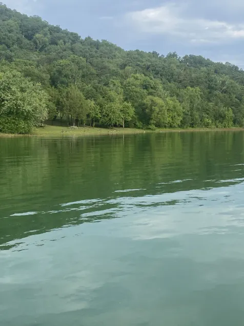 Cherokee Lake view by Gilmore Dock 1 hour from Gatlinburg - Image 1