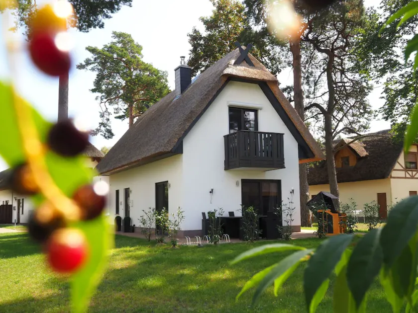 Your oasis of well-being under a thatched roof: a large color-light therapy sauna and a fireplace. - Image 1