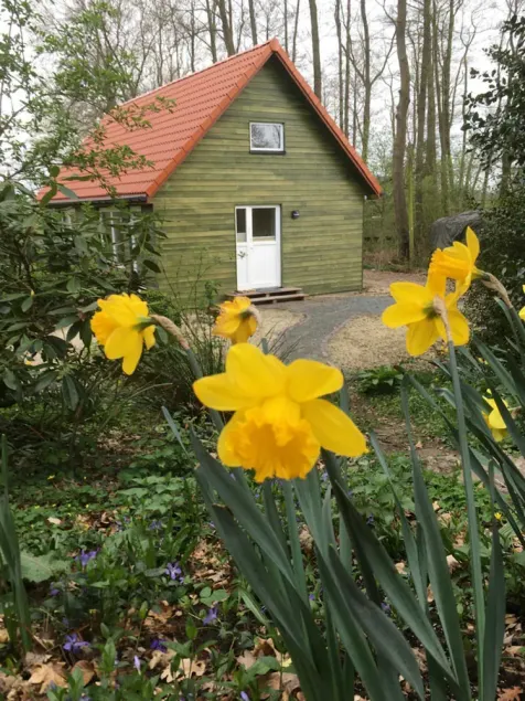 FeWo 2 Semi-Detached House - Ohlenbusch Vacation Homes - Image 1