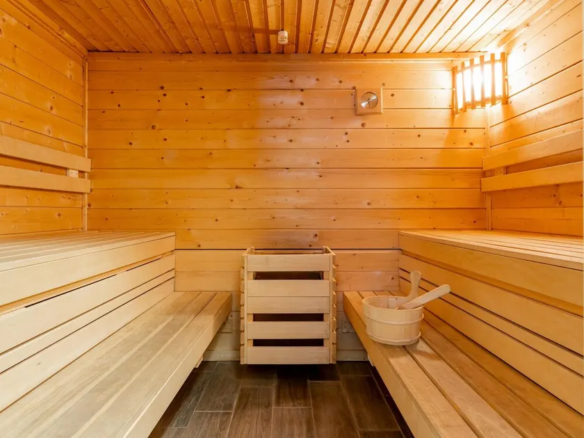 Detached chalet with wellness and wood-burning stove - Image 1