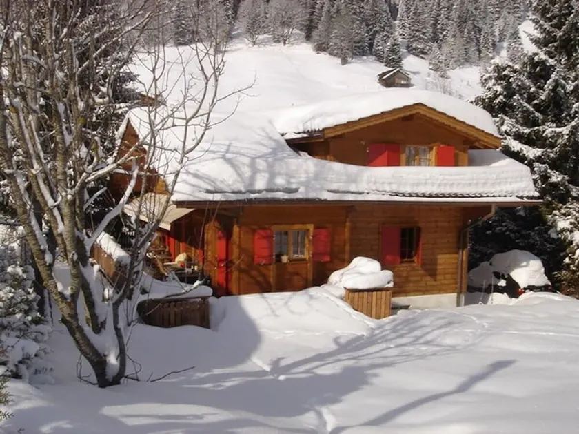 Exclusive, Charming 4 Bedroom Chalet near Gstaad - Image 1