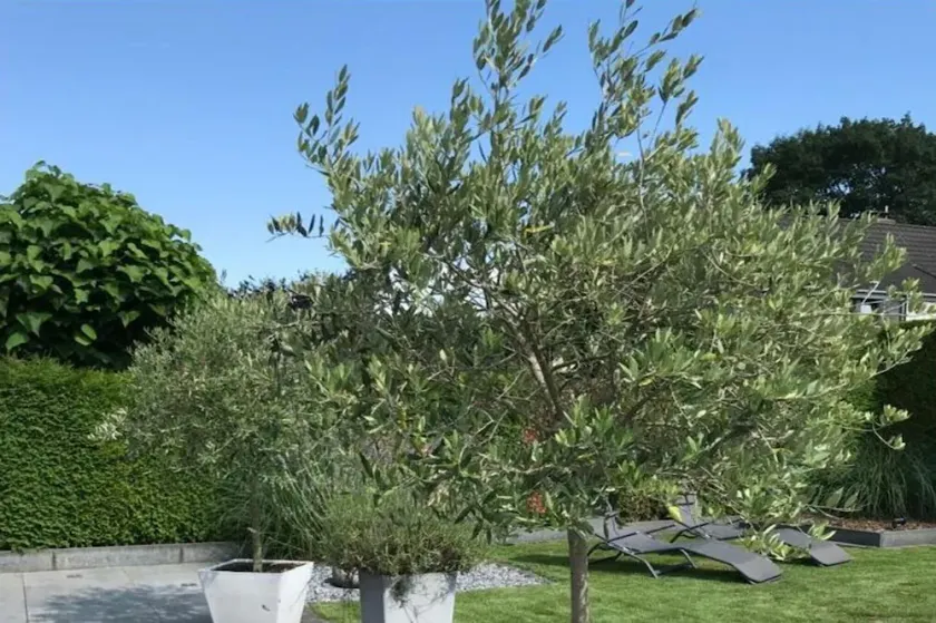 Holiday Apartment Summer Breeze - Image 1