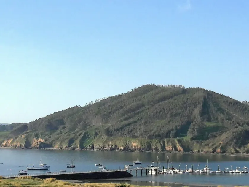 BLICK AUF DAS MEER UND IN DER ERSTEN STRANDLINIE - Image 1