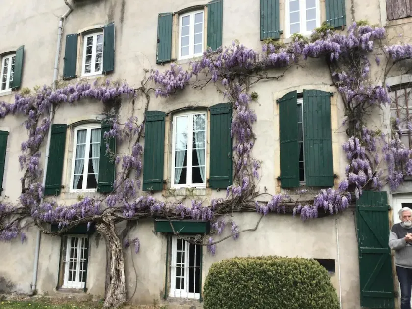 Maison Laclede - Image 1