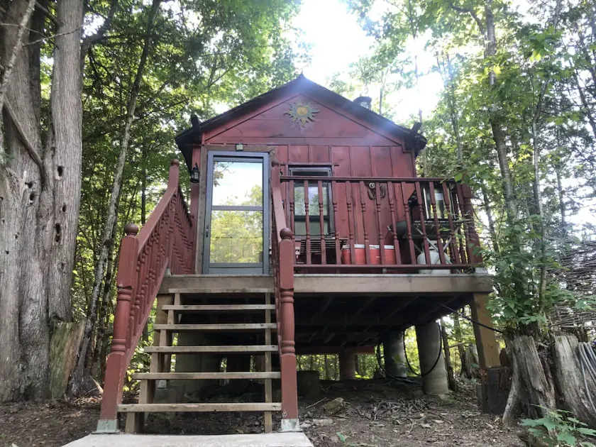 The Robin's Nest Private Woodland Cabin - Image 1