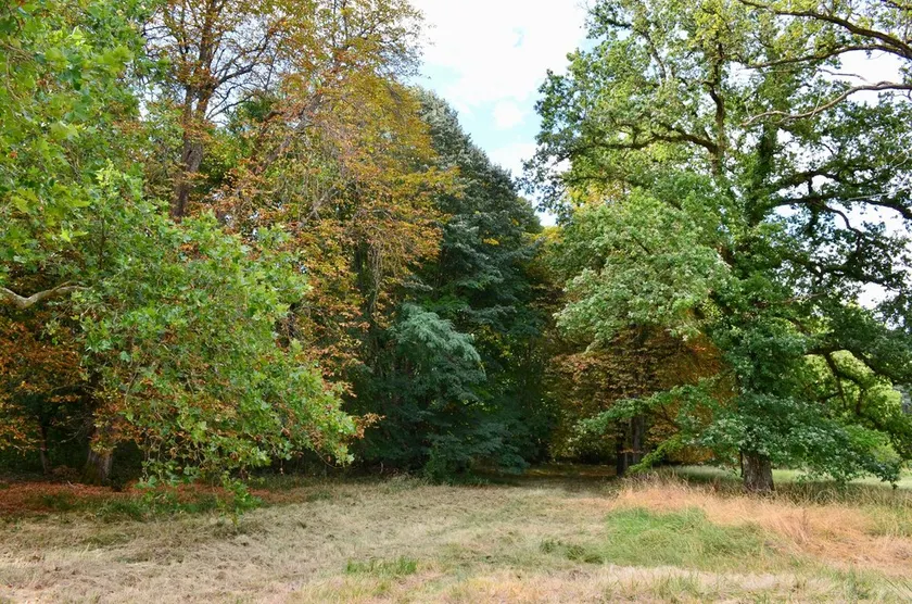 Chateau de Freschines - Image 1
