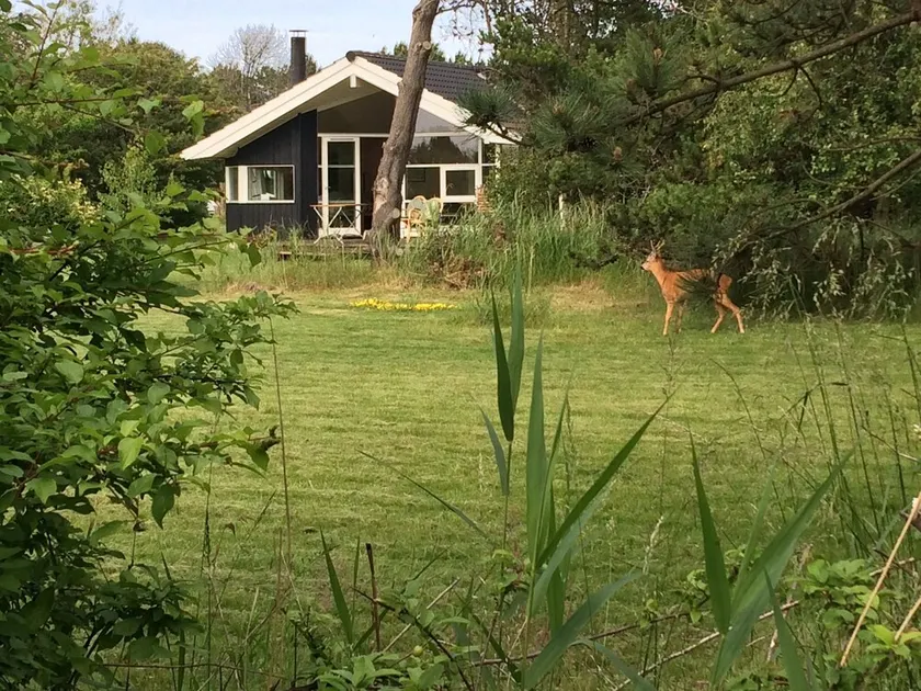 Charming vacation home in unspoiled nature between two coasts - Image 1