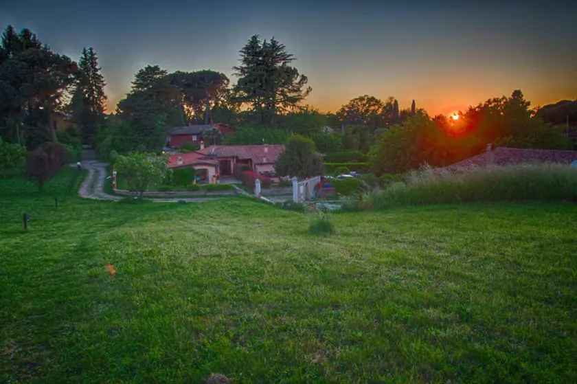 Olive Tree Hill - Image 1