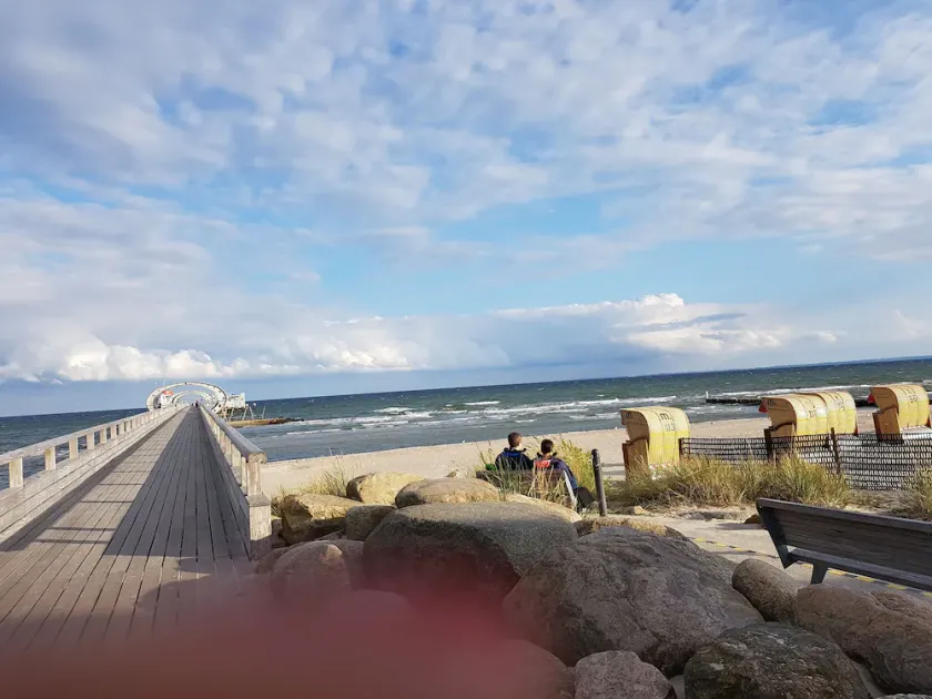 Holiday between forest and waves - Image 1
