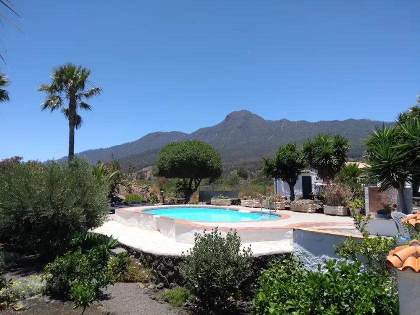 pretty apartment with sun terrace in the subtropical garden with WiFi and pool - Image 1