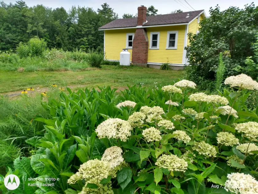 The Lemon Drop Cottage / PRIVATE, fuldt udstyret, ferie eller forretning. - Image 1
