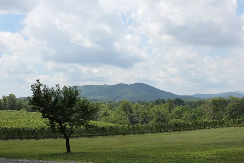 Dog Friendly Casa / Cabin in una Winery & Vineyard! - Image 1