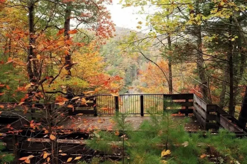 Nacoochee Valley Lodge - Image 1