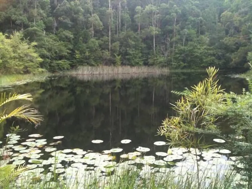 Lilypad Lodge in Stewarts River - Image 1
