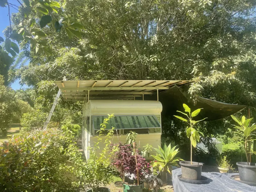 Caravan in Paradise. - Image 1
