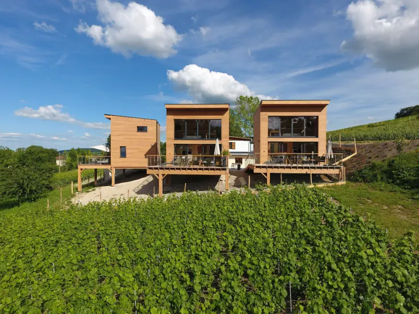 Panoramisk hotel-hostel. Din ønologiske ophold i en vinby. - Image 1