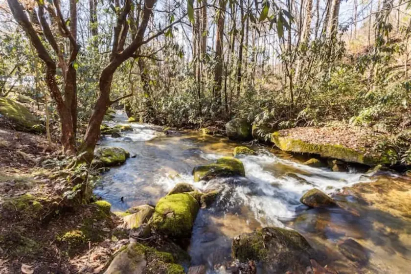 Ole Blue - Table Rock, Sassafras, Lake Keowee, Lake Jocassee. - Image 1