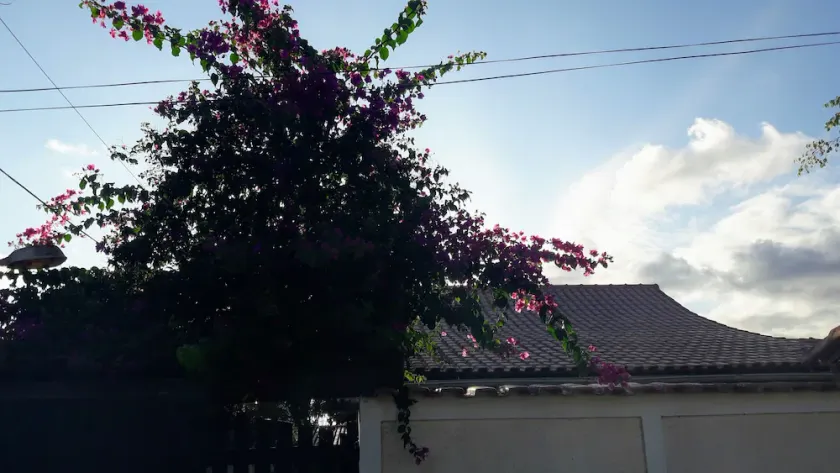 House 2 blocks from Jaconé beach, on a prestigious street, 5 minutes from the main shops. - Image 1