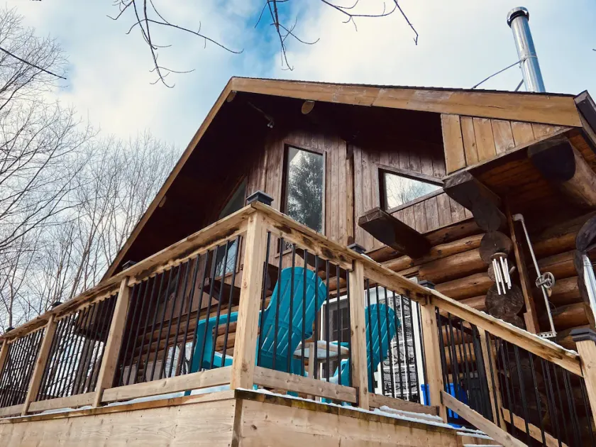 Log Cabin on Salmon River - Image 1