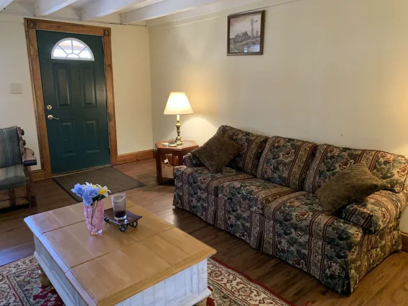 Private cottage on Susquehanna river Very private !! - Image 1