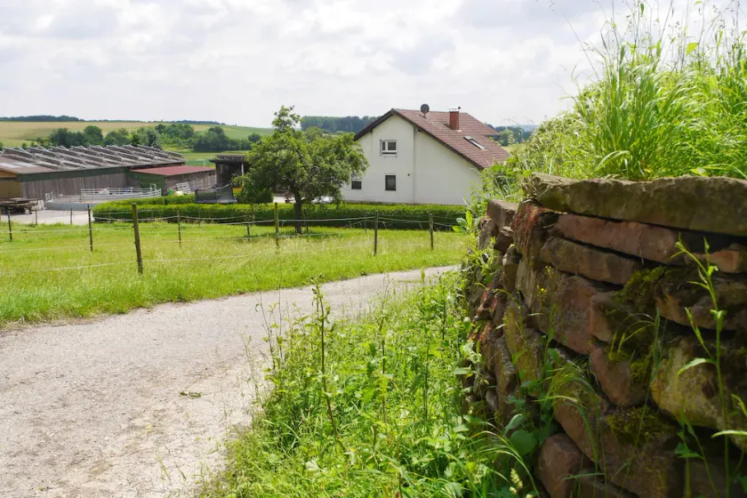 Kalles PATRIA vacanza, passeggiate a cavallo e il paese vive in Kraichgau - Image 1