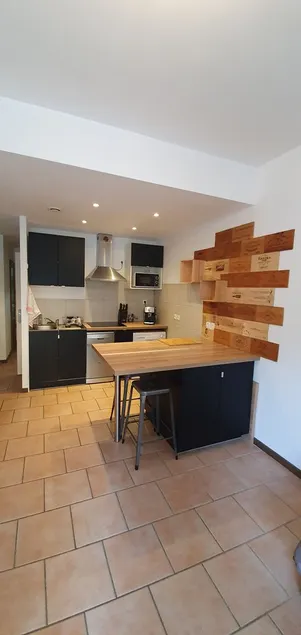 Magnificent fully renovated apartment with terrace  - Image 1