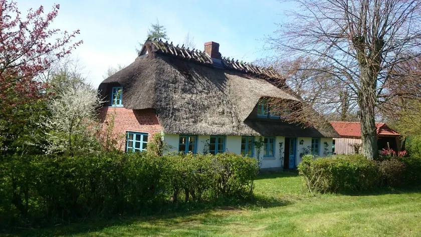 Reetdachkate seaside - Image 1